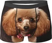 [QMNEHJ] Poodle Men's Boxer Briefs Breathable Stretch Underwear Moisture-Wicking Trunks for Men