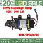 60PSI 12VDC 2.5L/M Mini Diaphragm Booster Pump Agriculture High Flow Spraying RV