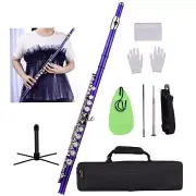 16 Keys Nickel-Plated Brass Wind Instrument Carrying Case Closed Hole C Flute