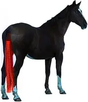 A&K L'YDIA Horse Tail LED Light Bar,100cm/40inch Horse Equipment Riding Tail Trapings Equestrian Type-c Charge Horse Tail Bag for Horse Shows (Red)