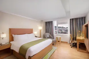 碧瑤市中心假日飯店Holiday Inn Baguio City Centre