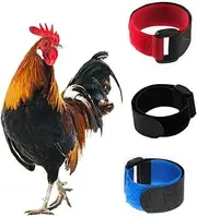 Minelife 3 Pack No Crow Rooster Collar, Chicken Collar Anti-Hook Noise Free Neckband No Crow Noise Neck Belt for Roosters - Prevent Chickens from Screaming, Disturbing Neighbors
