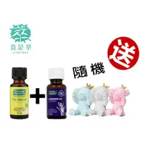 在飛比找PChome商店街優惠-星期四農莊量特惠【茶樹精油+薰衣草精油】贈送熊熊擴香石