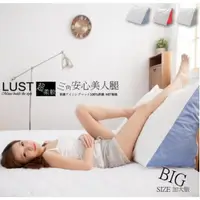 在飛比找momo購物網優惠-【LUST生活寢具】日系靠枕-纖瘦美人抬腿枕 抱枕---台灣