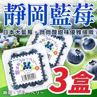 在飛比找台北濱江優惠-【台北濱江】日本靜岡藍莓/3小盒