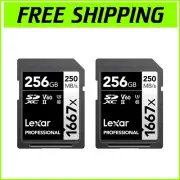 1667x UHS-II Memory Card 256GB - High-Speed Class 10 SDXC for Professionals