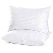2 Pack Super Soft Queen Size Bed Pillows for Side Back and Stomach Sleepers