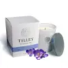 Tilley百年特莉 紫羅蘭香氛大豆蠟燭 240g