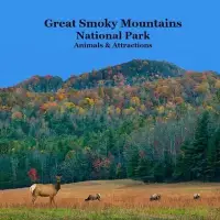 在飛比找博客來優惠-Great Smoky Mountains National