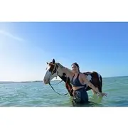 Save 4.83%! 3 Hours Horse Riding Beach, Desert & Swimming By Horse - Hurghada