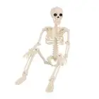 Halloween Party Skeleton Realistic Replica Full Body Posable Figure