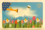WalMart Spring Watering Can Flowers Butterfly Blue Sky 2020 Gift Card FD-69168