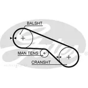 Gates Timing Belt - T280