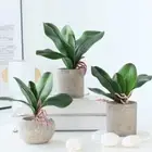 EVA Artificial Orchid Leaves Vivid Fake Phalaenopsis Plant Wedding