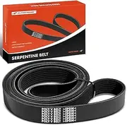 A-Premium Engine Serpentine Drive Belt Compatible with Freightliner, Kenworth & Peterbilt Cars - 108SD 2019, M2 106, T660, T680, T800, T880, W900, 365, 367, 384, 386, 388, 389, 567, 579 & More