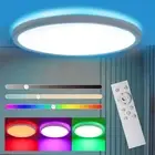 Flush Mount LED Ceiling Light Dimmable with Remote Control, 15.3 Inch 35W RGB...