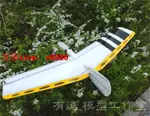 【咨詢客服應有盡有】ALULA DLG 手擲滑翔機 改進版 EPP滑翔機 無動力