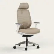 Recess Ergo Pro 2.0 | Ergonomic Chair | Mesh Office Chair | Sustainable Office Furniture, Sandstone / Headrest