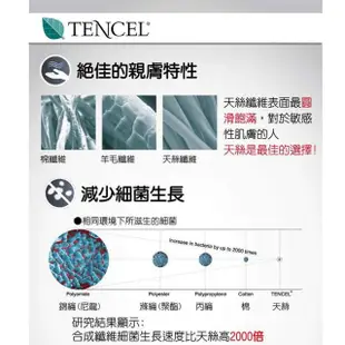 【LooCa】達人乳膠雲端式三線獨立筒床墊(單人3.5尺)