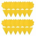 20pcs Insect Sticky Boards Sticky Trap Fruit Fly Fungus Gnat Trap Killer Tools