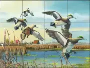 Duck Tile Backsplash Mike Brown Wildlife Art Ceramic Mural MBA003