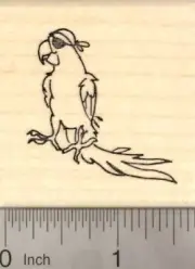 Parrot Pirate Rubber Stamp, with eye patch and swagger E22215 WM