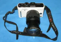 在飛比找Yahoo!奇摩拍賣優惠-Panasonic LUMIX DMC-GF1 單眼相機 含