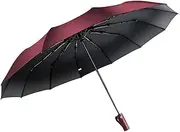 Feimvb Travel Umbrella, Windproof Automatic Umbrella Compact Sized Portable Personal Umbrella with 10 Rib Reinforced Canopy and Auto Open & Close Function