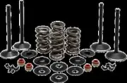 KW Complete Black Diamond Engine Valve Kit Harley Heritage Springer 00-03