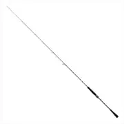 Daiwa OUTRAGE SLJ 66MS-MT Off shore Spinning rod 2pcs From Stylish anglers Japan