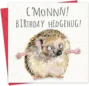 Twizler Funny Birthday Card Hedgehog - Funny Card - Happy Birthday Card - Funny Birthday Card Women - Funny Birthday Card Men - Cute Birthday Card Her - Funny Birthday Card Him