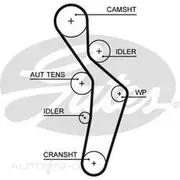 Gates Timing Belt - T1636