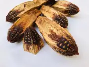 Green Floral Crafts Natural Mahogany Pods (Natural Swietenia macrophylla pods)