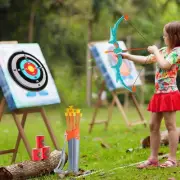 Kids LED Light Up Bow and Arrow Set with 10 Arrows Outdoor Archery Toy