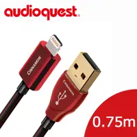 在飛比找PChome24h購物優惠-美國線聖 Audioquest USB-Digital Au