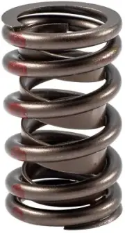 Valve Spring Melling VS170