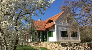 Farmhouse at Lake Balaton / Orvenyes - Island of Peace