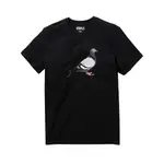 [BANANA STORE] 現貨 STAPLE  PIEGON TEE STAPLE 短袖 鴿子 短TEE