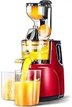 Masticating Juicers, Wide Mouth Feed Chute Slow Juicer, High Juice Yield, Double Mouth Pulp Juice Separation, Cold Press Juicer for Fruits and Vegetables, Easy to Clean