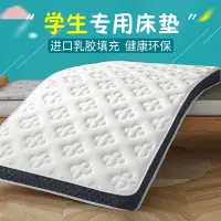 在飛比找蝦皮商城精選優惠-床墊 纖維床墊 可水洗床墊 透氣床墊 學生床墊 定做乳膠床墊