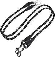Double Dog Leash