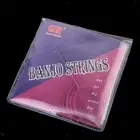A Set of 5 Strings for 5-String Banjo