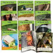 Decodable Readers Phase 4 - Blends NON-FICTION Junior Learning