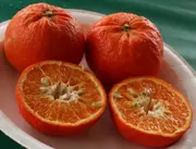 Mandarin Sunburst Tree - Citrus reticulata