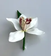 WEDDING GROOM BUTTONHOLE FLOWER LATEX CREAM ORCHID CYMBIDIUM BUTTON HOLES