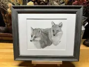Drawing of a Fox Gray Grey Red Graphite Pencil Art Sketch Picture Print