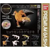 在飛比找蝦皮購物優惠-日本限定萬代豹紋守宮扭蛋 BANDAI 生物大圖鑑 環保扭蛋