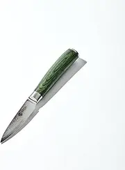 [HexClad] 3.5 Inch Paring Knife Japanese Damascus Stainless Steel Full Tang with Pakkawood Handle Precision Tip to Slice Through Hard Vegetables Hand Wash and Towel Dry, Silver