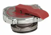 For 1994-1999 Chevrolet P30-Safety Release Radiator Cap Gates 178WS75 (for: Chevrolet)