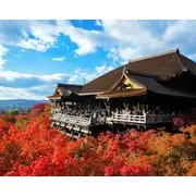 Hostel Gion Sora